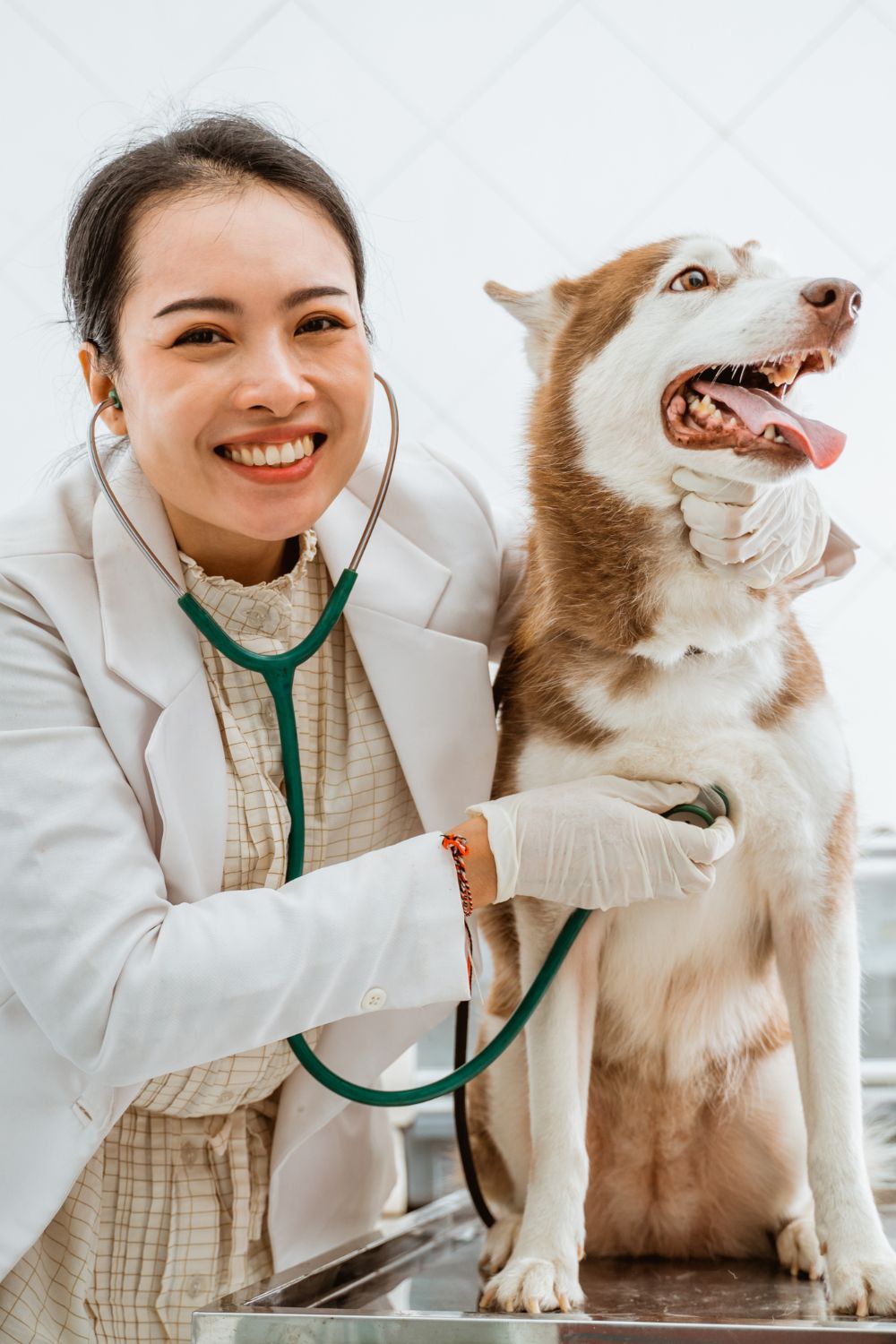 Klinik hewan MyVets BSD