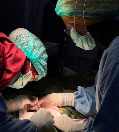 Pusat Bedah Hewan My Vets BSD